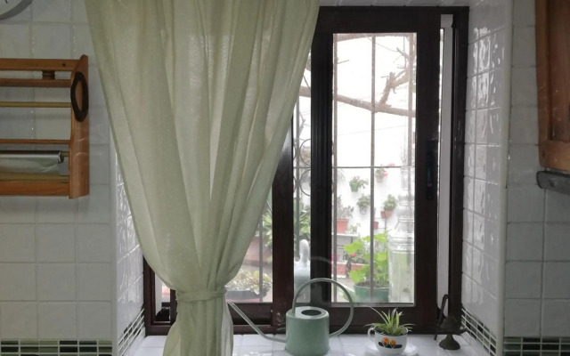 La buganvilla de Juana y Antonio