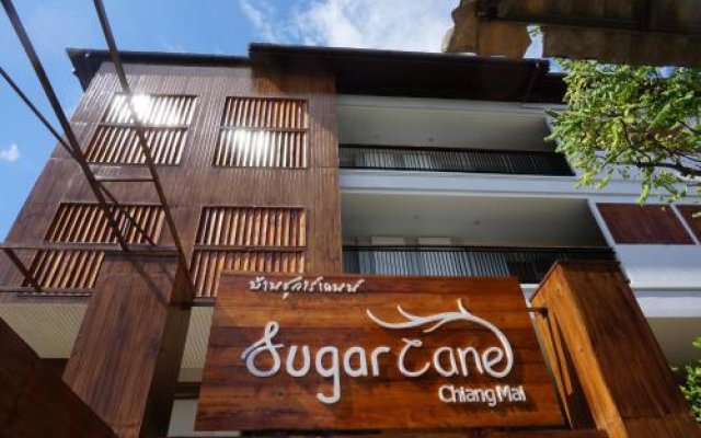 SugarCane Chiang Mai.