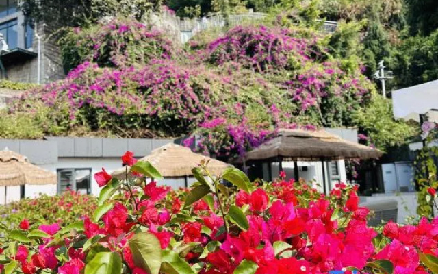 Slow Life Bali Coast Holiday Hotel
