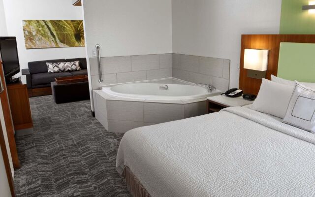 SpringHill Suites by Marriott Sioux Falls