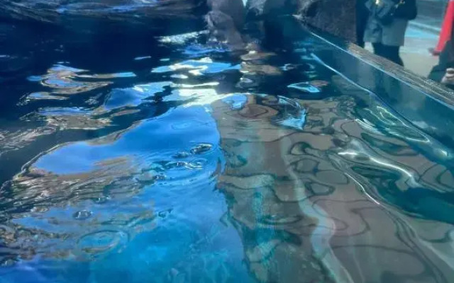 ARASHIMA INN 203 / Vacation STAY 230