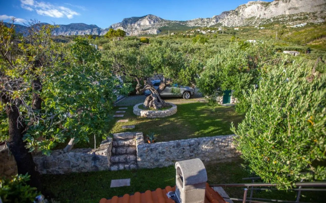 Villa OLD OLIVE, 3lovelyvillas