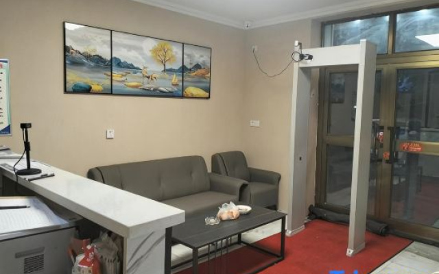 Urumqi Zebra Theme Hotel