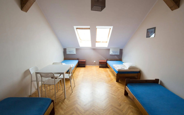 Dizzy Daisy Hostel