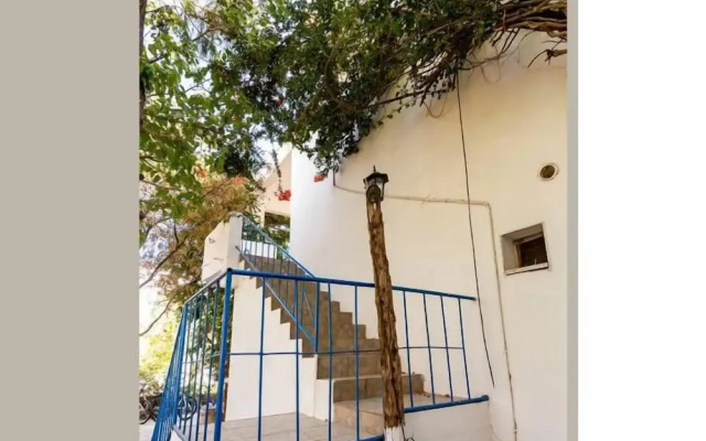 Zeytin Pansiyon Palamutbükü