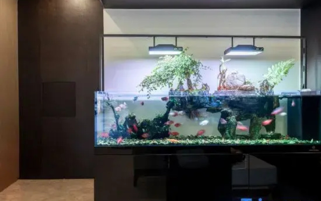 Xiduo Four Seasons Hotel