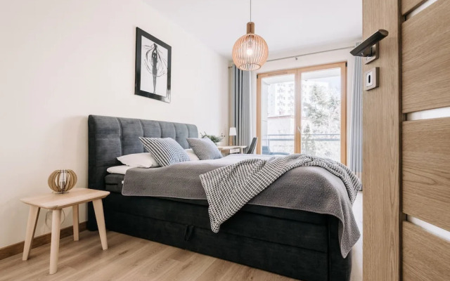 Apartamenty Maestro
