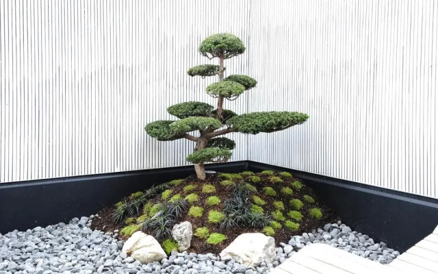 alpslodge Hotel Garni