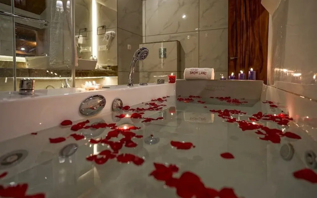 Hotel Snowland Srinagar