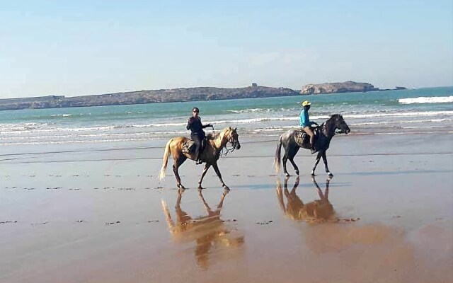 Tipi Lounge and breakfast