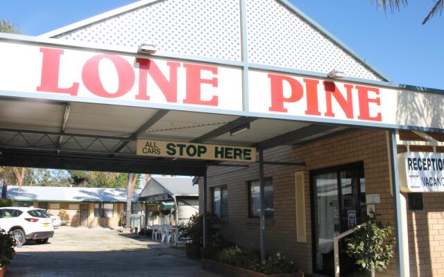 Lone Pine Motel - Corowa