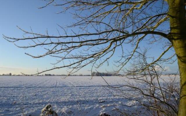 Bed & Breakfast Panamera