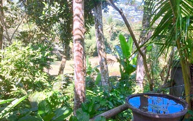 Rumah Irak et Kadek Bali