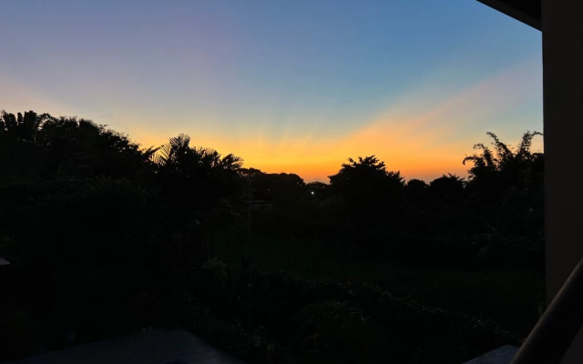 Natural Paradise