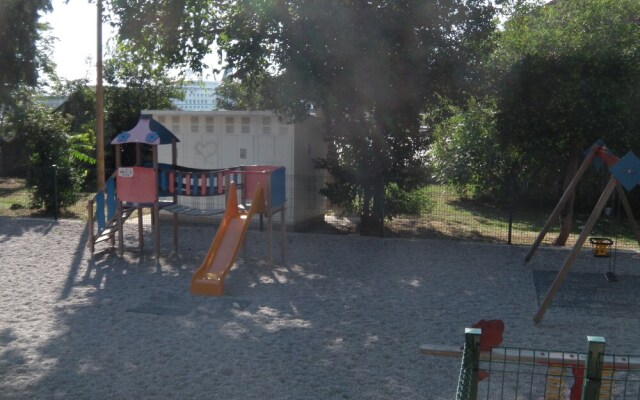 Happy Jackdaw in the Center of Split