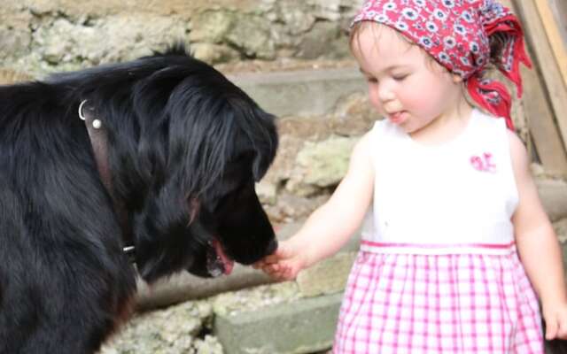 Cozy Apartment with Roof Terrace