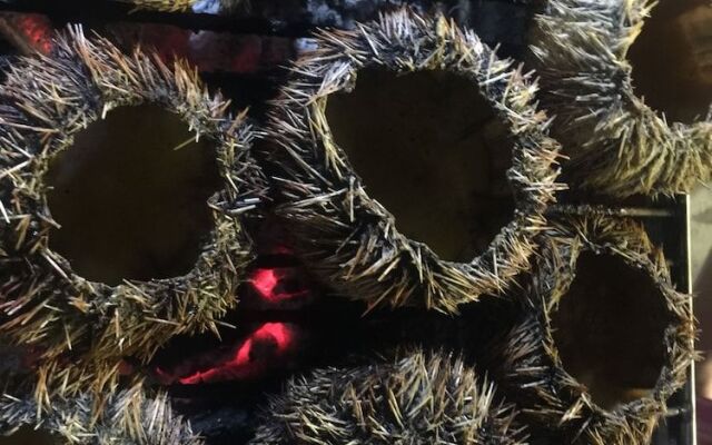 Penghu Colorfish Homestay