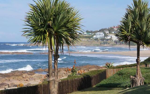 Southern Comfort - Starfish