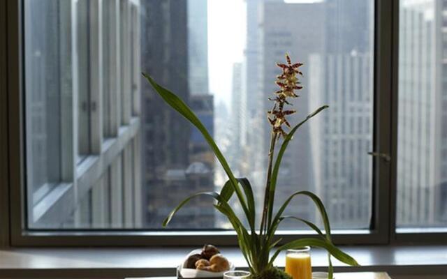 Flatotel New York