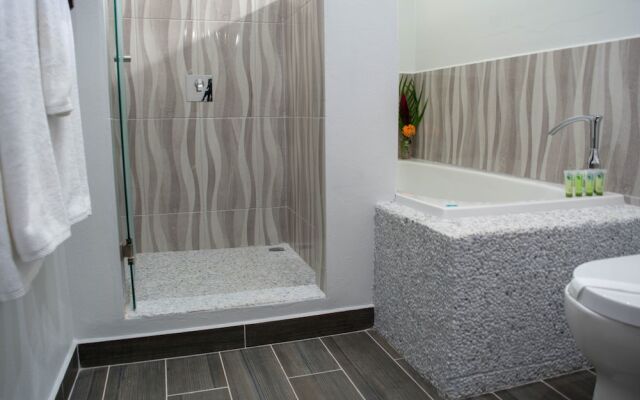 carver suites