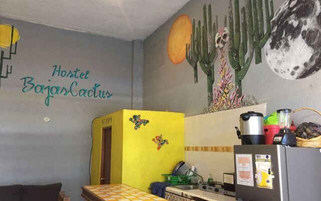 Baja's Cactus Hostel