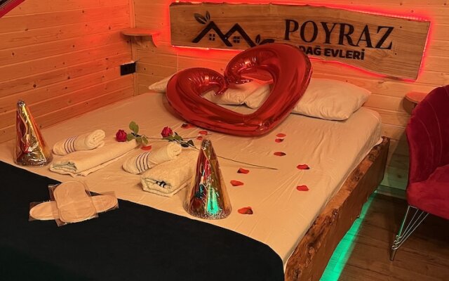 Poyraz Dağ Evleri