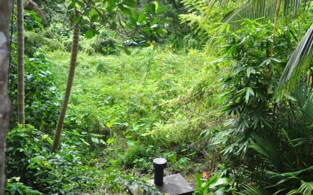 Jungle Fence