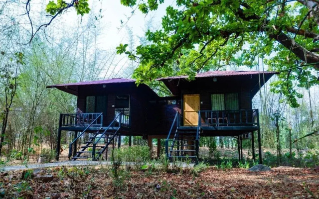 Wilderness camp Resort Pench