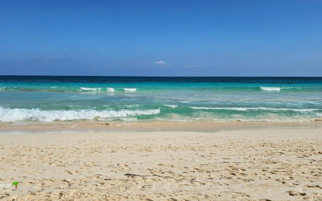 Luxury House Bungalow and apartments La Botánica Tropical