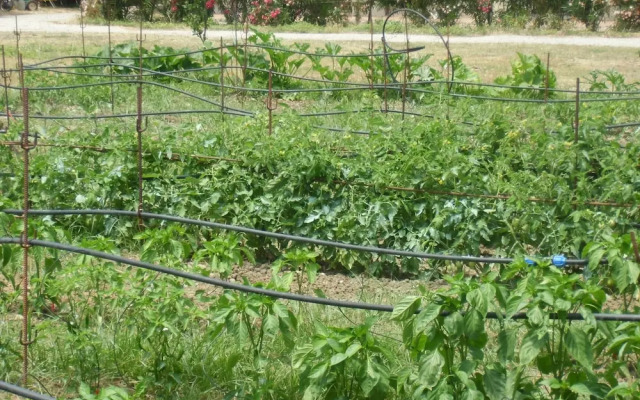 Holiday home Stella di Sicilia