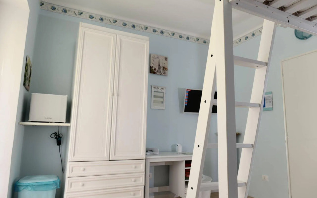 View of the vineyards