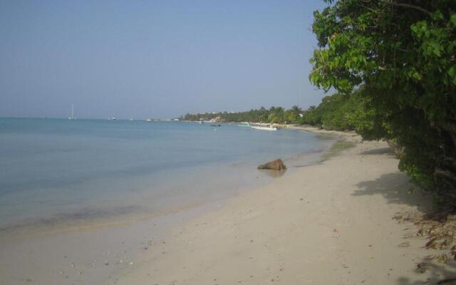 Habitation de l'Anse Mancenillier