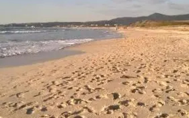 Agriturismo Il Cipresso