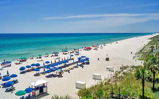 Celadon 302 - 718510