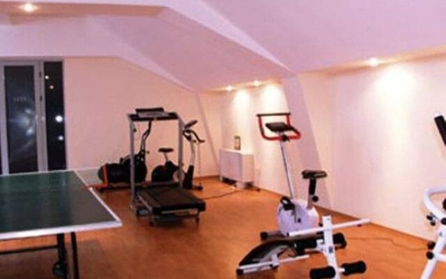 Hotel Ferdinand Baile Herculane