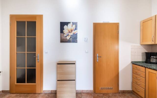 Spacious Apartments in Heart of Prague