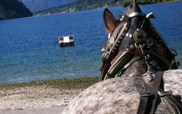 Reitbauernhof Schartner