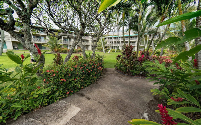 Molokai Vacation Properties – Wavecrest