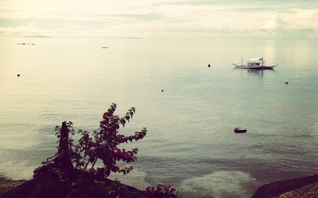 Dive Point Alcoy