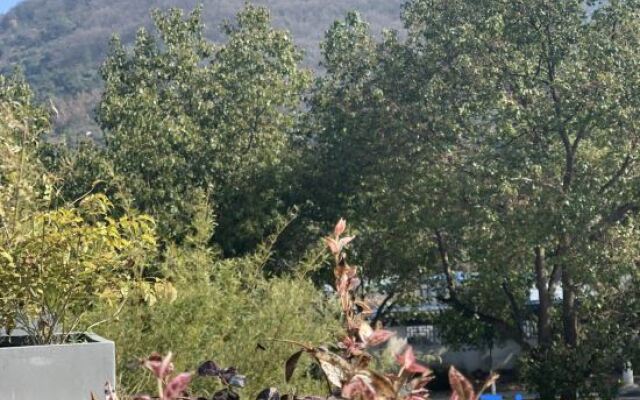 Wuxi Village Banzhuyuan Homestay (Lingshan Giant Buddha Nianhuawan Branch)