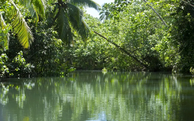 Raiatea - Studio Tumaraa