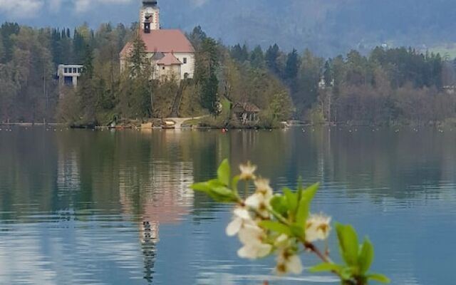 Guesthouse Kolinska - Adults only