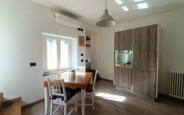 Delle Erbe The Nightlife