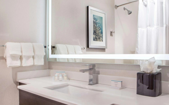 Hilton Garden Inn NYC Financial Center/Manhattan Downtown