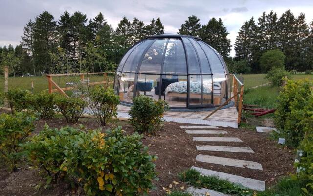La bulle au bois dormant d'ovifat