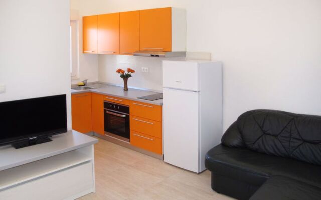 Andjelka (TGR147) 25384