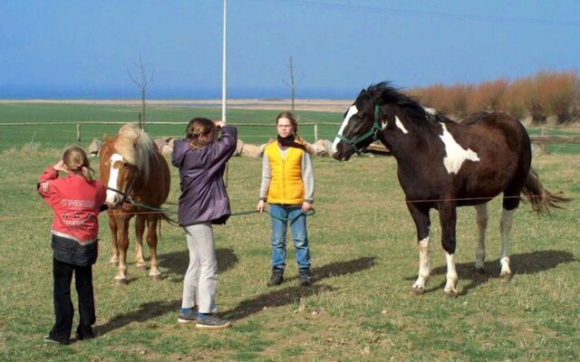 Beautiful Apartment in Kägsdorf Germany With Sauna