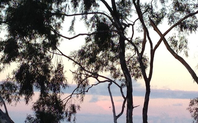 Eucalyptus Treehouse