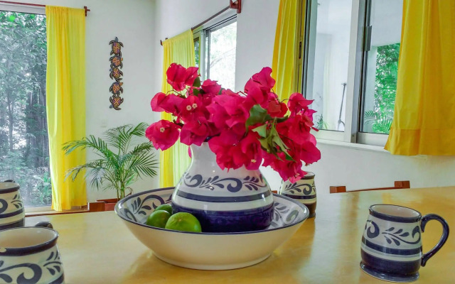 Casa Chachalaca