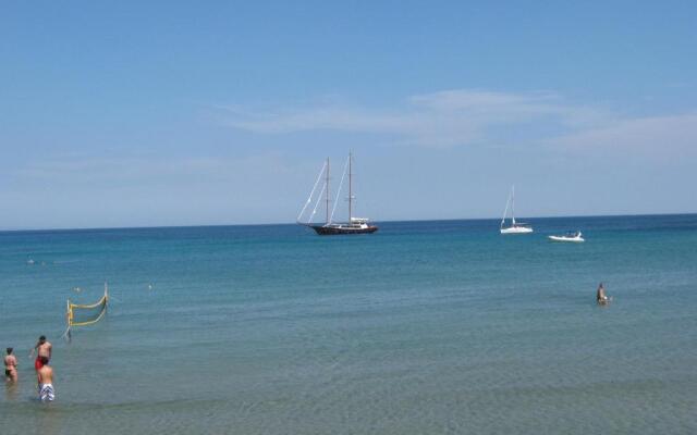 Oasis Hotel Theodoros & Litsa Galaris